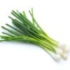 Spring Onions 1 bunch