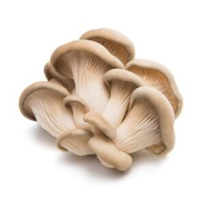 Oyster Mushroom 500 gr